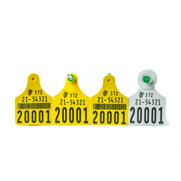 Set of yellow calf ear tags with a matching grey electronic tag