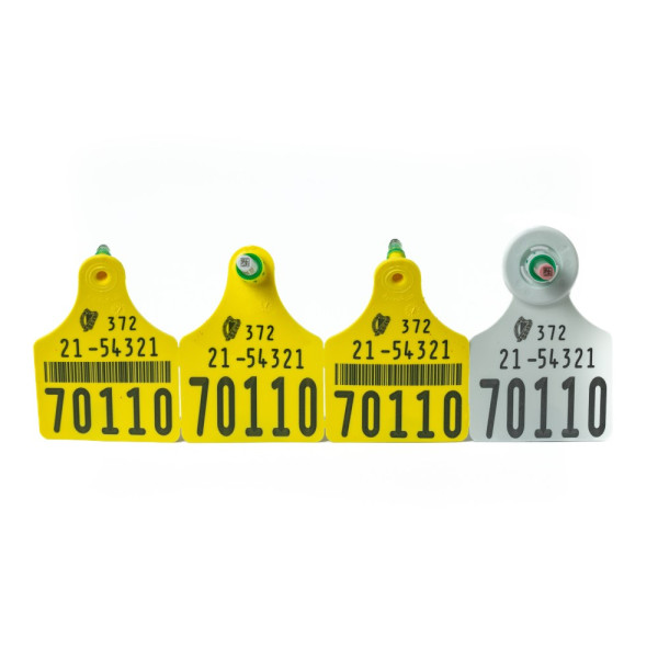 Set of yellow cattle ear tags with a matching grey electronic tag