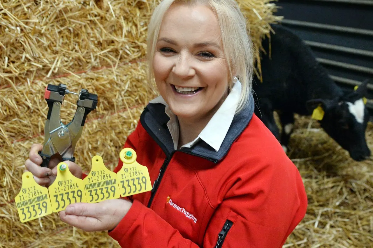 Smiling woman in a red Cormac Tagging jacket holding yellow cattle tags and an applicator